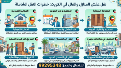 نقل عفش جنوب السرة